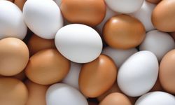 Bu yumurtaları sakın yemeyin! Salmonella riski yüksek