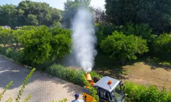 Güzelbahçe sokakları sineklerden temizleniyor! Yazlık ilaçlama başladı