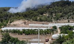Son dakika! Antalya'da orman yangını başladı!