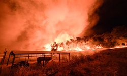 Aliağa'da yangınla mücadele sürüyor