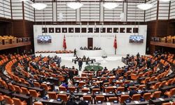 Son dakika! Yasa tasarısındaki 'zeytinlik maddesi' kabul edildi
