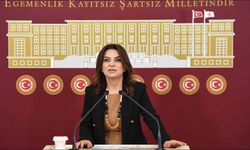 Son dakika! DEM Parti komisyonun adını duyurdu