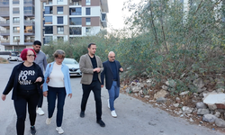 Başkan Eşki’den yeşil hamle