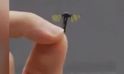 Çin’in sinek drone’u, teknolojide yeni dönem mi?