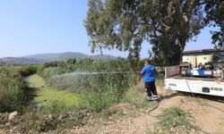 Efes Selçuk’ta sağlık için ilaçlama alarmı!