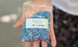 Urla Belediyesi’nden tarıma destek