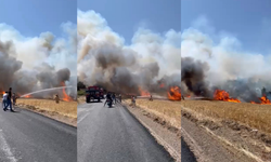 Tarım arazisinde yangın! Müdahale devam ediyor