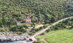 Google Maps’te yok denebilir: İzmir’in unutulmuş koyu, yeniden keşfediliyor