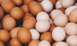 Yumurtanın faydaları: Günde 1 yumurta neler kazandırır?