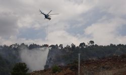 Flaş haber! Bir ilde daha orman yangını çıktı
