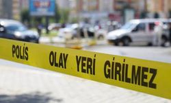 Muğla'da otoyolda karşıdan karşıya geçmeye çalışıyordu... Hayatını kaybetti