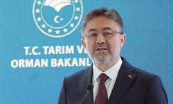 Flaş! Bakan Yumaklı duyurdu: İşte orman yangınlarında son durum