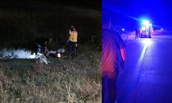 Elazığ'da can pazarı: İki yolcu kurtarılamadı!