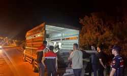 “Bir şey olmaz” demişti, 105 bin liralık ceza makbuzu elinde kaldı!