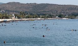Bodrum’da gölge için yarıştılar
