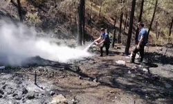 Aynı bölgede korkutan orman yangını: Yeniden alevlendi!