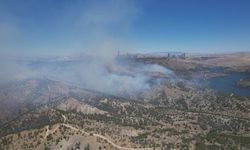 ODTÜ ormanında yangın paniği! Alevler dronla görüntülendi