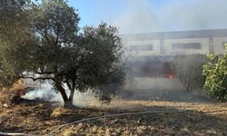 İzmir'de yangın kabusu: Fabrika bahçesinde alevler yükseldi