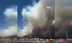 Büyük yangın: 700 hektarlık alan zarar gördü