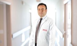 Keneler sadece ısırmıyor! Sağlığınızı tehdit eden gerçek