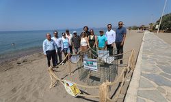 Menderes sahillerinde doğa mucizesi: Caretta Caretta yumurtladı!