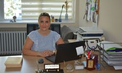 Aile yapısında dönüşüm ve doğurganlıkta düşüş mercek altında