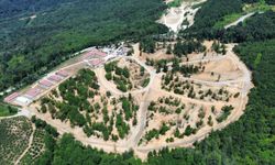 Düzce’de sahipsiz hayvanlara 80 bin m² doğal alan kuruldu