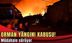Orman yangını kabusu! Müdahale sürüyor