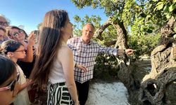 Çeşme’den gelen mucize: İlk hasat başladı