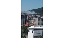Son dakika! Bir ilde daha orman yangını!