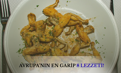 Tadı değil, şekliyle bile kafanızı karıştıracak 8 Avrupa lezzeti!