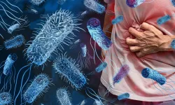 Salmonella enfeksiyonlarında antibiyotik direnci alarm veriyor!