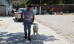Efes Selçuk’tan sahiplen çağrısı!