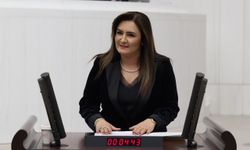 CHP'li Kılıç TBMM’ye 3 yıl önce taşımıştı: Sahte diploma skandalı büyüyor