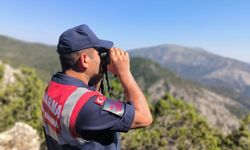 Uşak’ta orman denetimleri hız kesmeden sürüyor