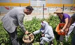 Kadınların ürünleri sofrada