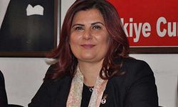 Özlem Çerçioğlu kimdir?