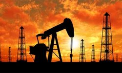 Petrol ve doğal gazda yerli üretim zirve yaptı