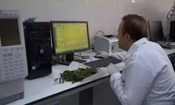 Mucize keşif! 3 ölümcül hastalığa karşı etkili olduğu kanıtlandı