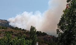 Son dakika! Çorumda orman yangını başladı!