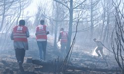 Yangın bölgelerinde 2.6 milyon kişiye destek!