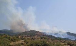 İzmir’de korkutan manzara: Makilik alan alevlere teslim oldu