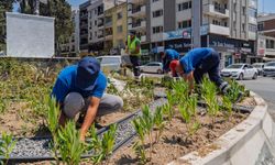 Daha az su, daha çok yeşil: İzmir’de yeni peyzaj modeli