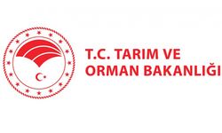 Tüketiciler dikkat! Yeni kurallar raflara geliyor