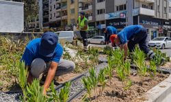 İzmir Büyükşehir’den şaşırtan hamle: Yeşil devrim başladı!