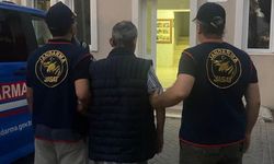İzmir'de hayvan katliamı! Korkunç detaylar ortaya çıktı