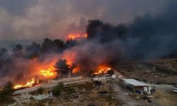 Son dakika! Osmaniye'den acı haber!