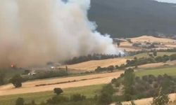 Son dakika! Bir ilde daha orman yangını! Alevler giderek yayılıyor