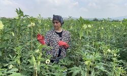 Yaptıkları işle doğa ve hayvan sevgisi filizleniyor