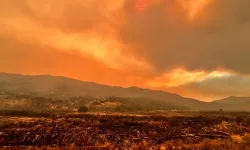 Alevler California’yı sardı! Binlerce dönüm yok oldu
